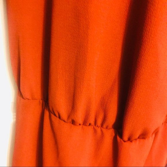 Ashley Stewart Rust/Black Trim Sheer Dress 22/24 - Picture 5 of 8